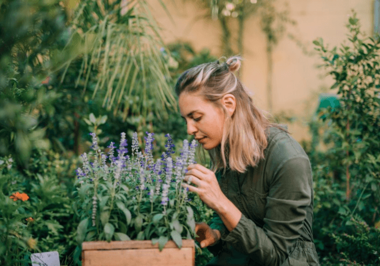 A ciência por trás do olfato - Papo Essencial